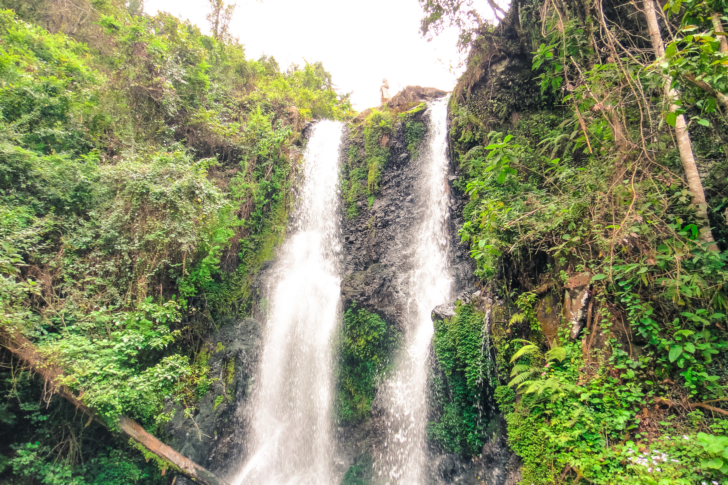 marangu (3).webp